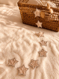 Awwlie's Star Bunting